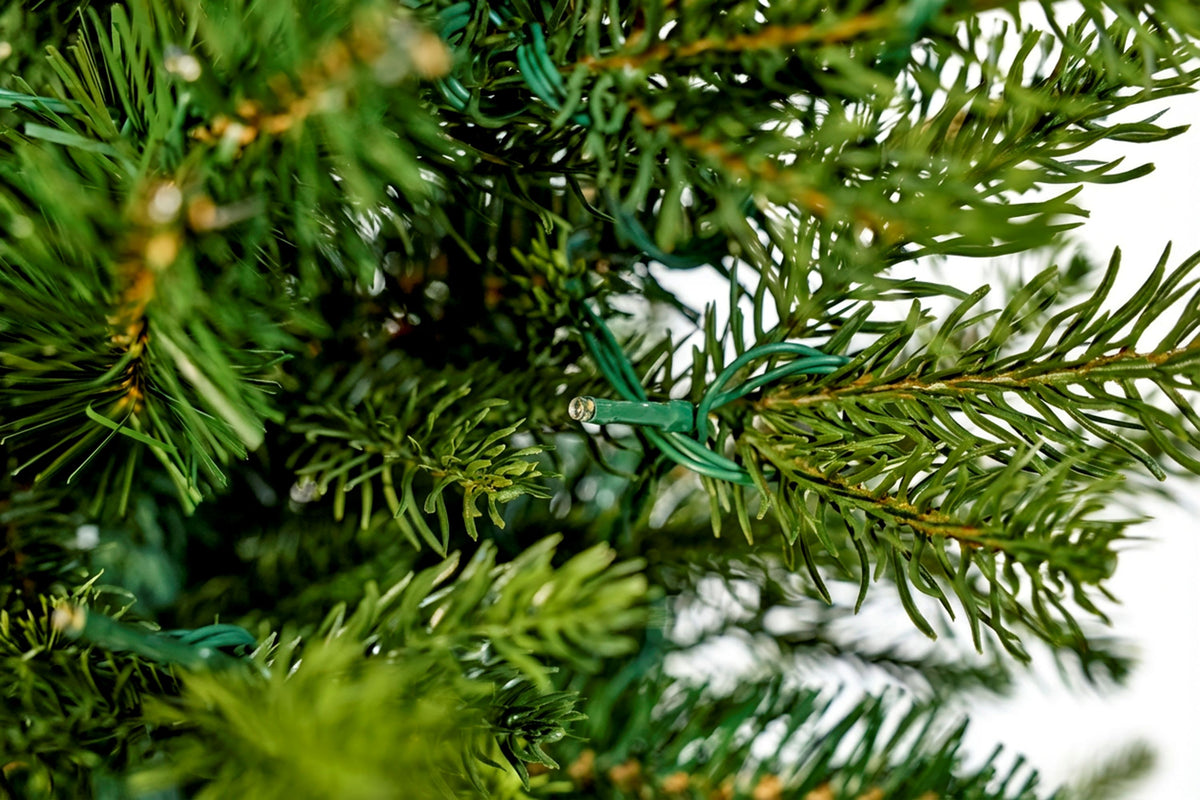 King Pine Porch Christmas Tree