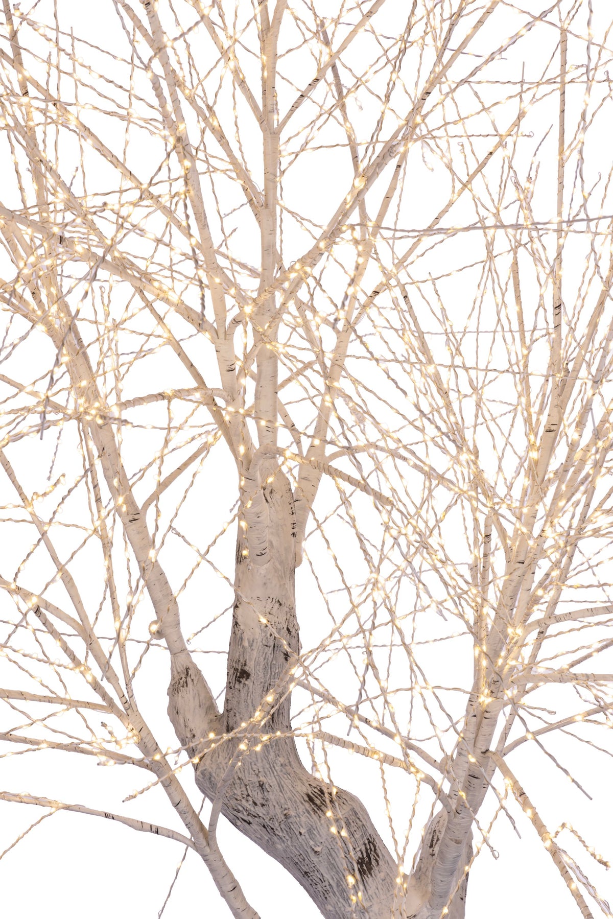 Outdoor Trees (Retail Box)