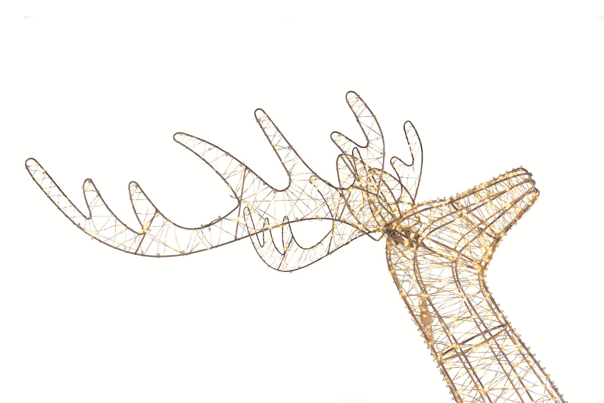 3-D High Density Buck (Retail Box)