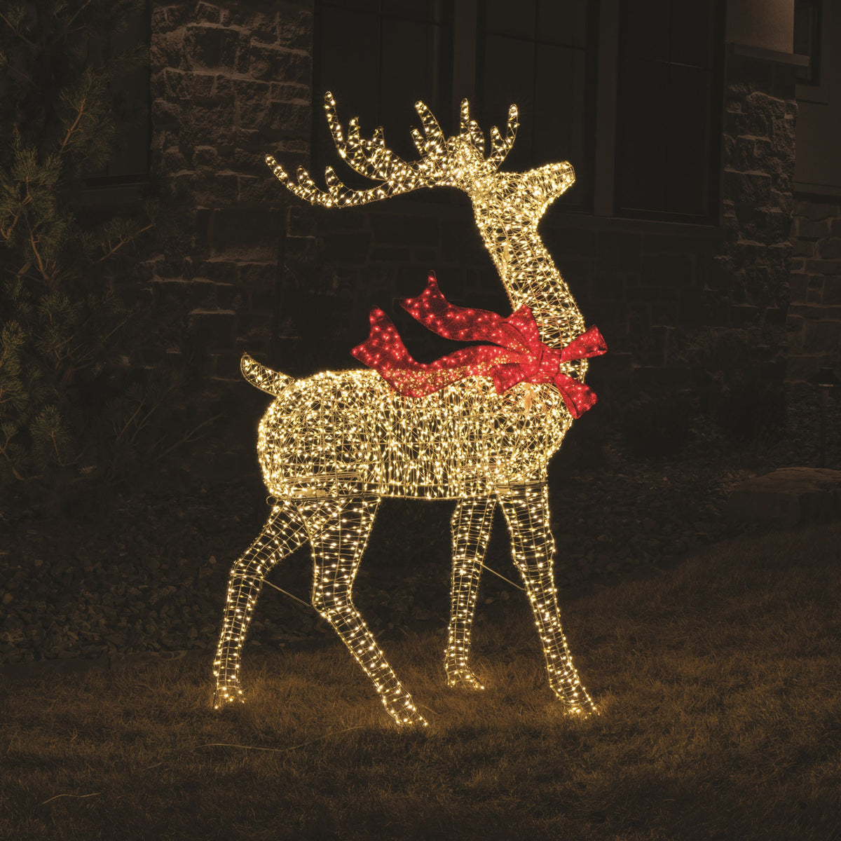 3-D High Density Buck (Retail Box)
