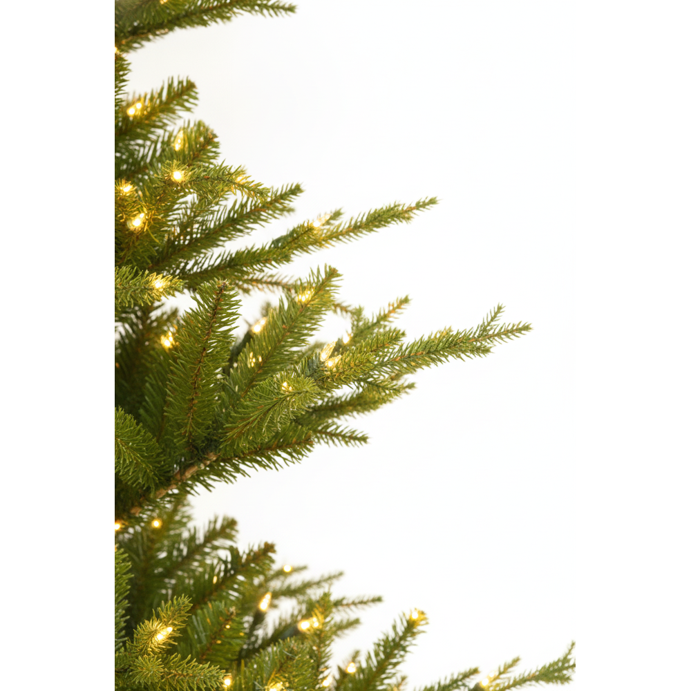 Canaan Pine Christmas Tree